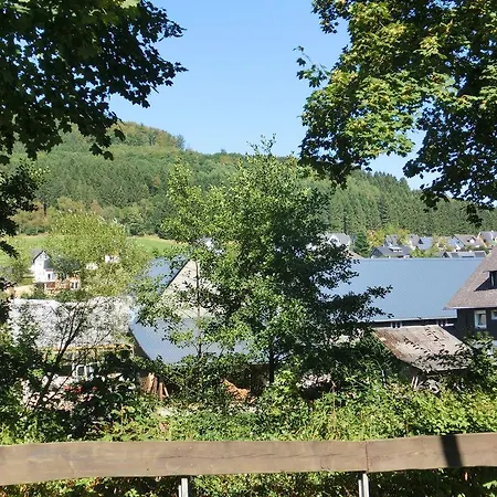 Pretty Holiday Near The Ski Area Daire Schmallenberg