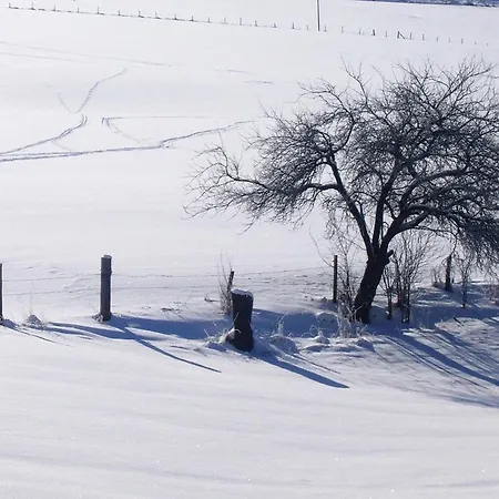 Pretty Holiday Near The Ski Area Daire