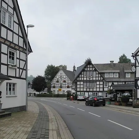 Daire Pretty Holiday Near The Ski Area *