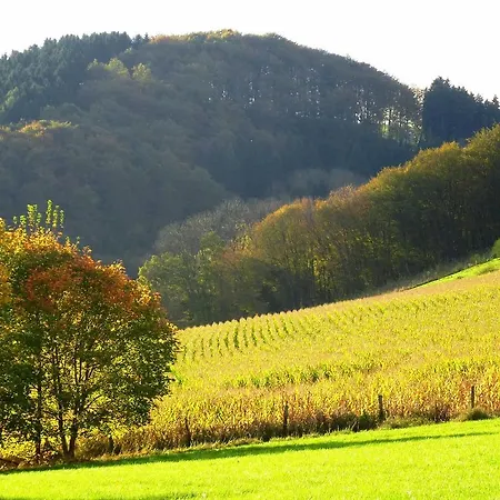 Pretty Holiday Near The Ski Area Daire *